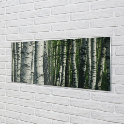 Skleněný panel březového lesa