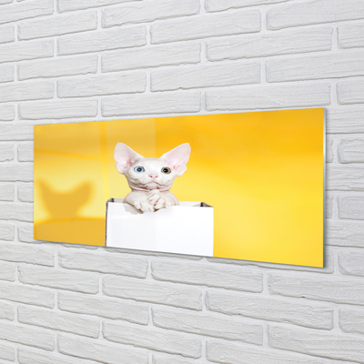 Skleněný panel sedící kočka