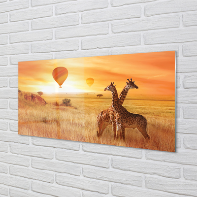 Skleněný panel Balóny nebe žirafa