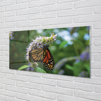 Skleněný panel Květ barevný motýl