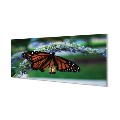Skleněný panel Motýl na květině