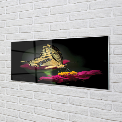 Skleněný panel Motýl na květině