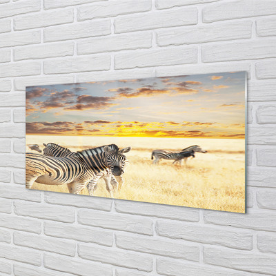 Skleněný panel Zebry pole sunset