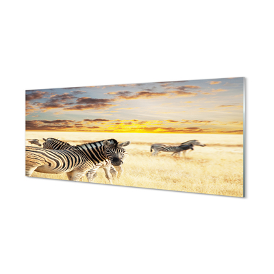 Skleněný panel Zebry pole sunset