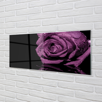 Skleněný panel Purpurová růže
