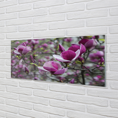 Skleněný panel fialové magnolie