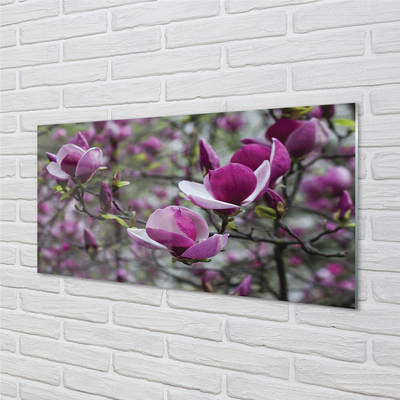 Skleněný panel fialové magnolie