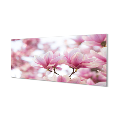 Skleněný panel magnolie strom