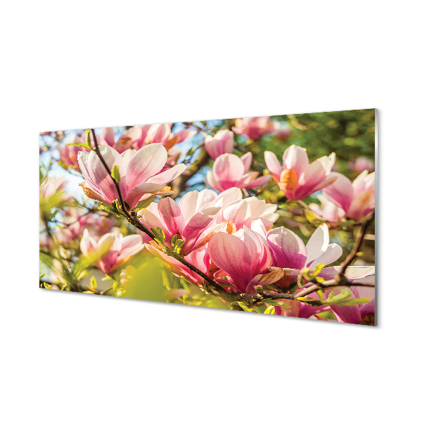 Skleněný panel růžová magnolie