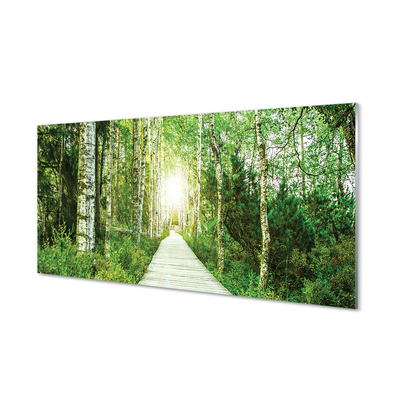Skleněný panel Bříza lesní cesta