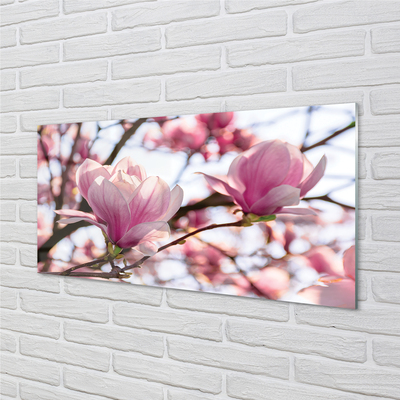 Skleněný panel magnolie strom