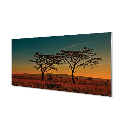 Skleněný panel oblohy stromu