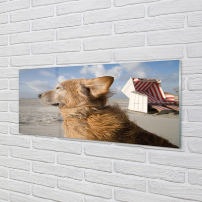 Skleněný panel Hnědý pes beach
