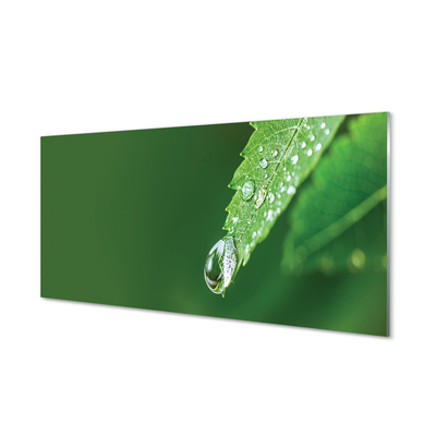 Skleněný panel Kapka vody listí