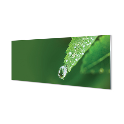Skleněný panel Kapka vody listí