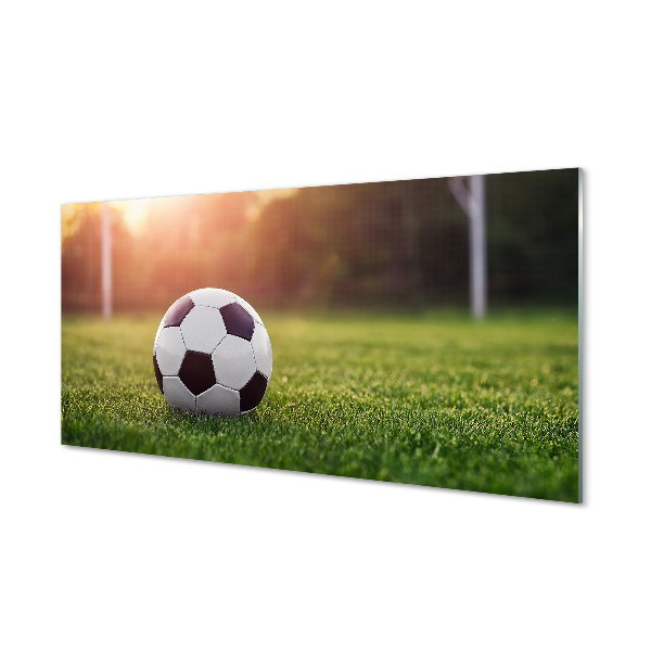 Skleněný panel Fotbal tráva gateway