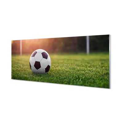 Skleněný panel Fotbal tráva gateway