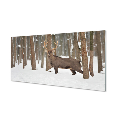Skleněný panel Jelen zimní les