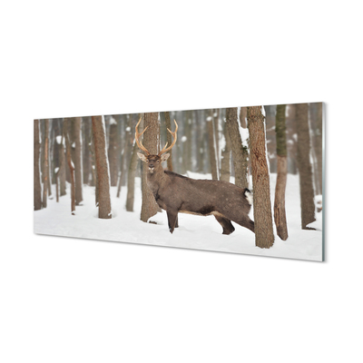 Skleněný panel Jelen zimní les