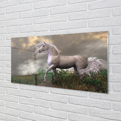 Skleněný panel Unicorn mraky