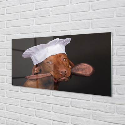 Skleněný panel dog chef