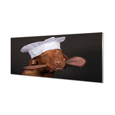 Skleněný panel dog chef