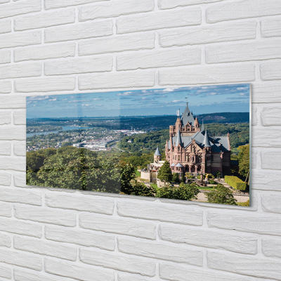 Skleněný panel Německo Panorama městského hradu
