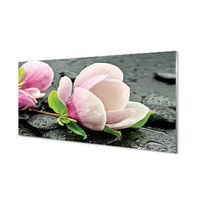 Skleněný panel Magnolia kameny
