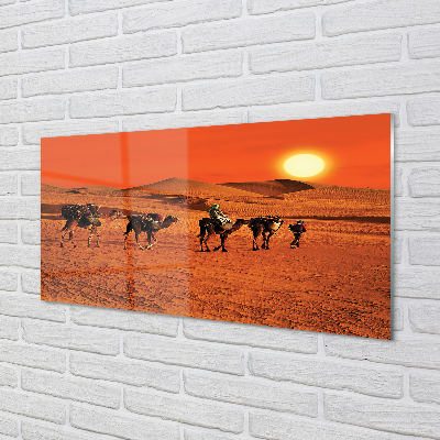 Skleněný panel Velbloudi lidí pouštní slunce nebe