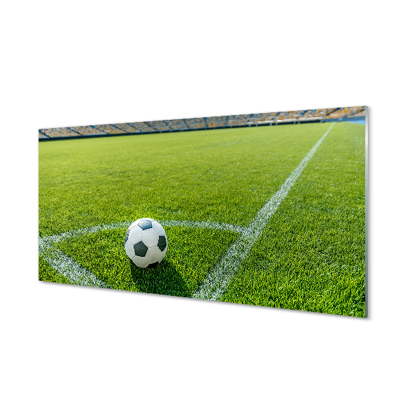 Skleněný panel Fotbalový stadion trávy