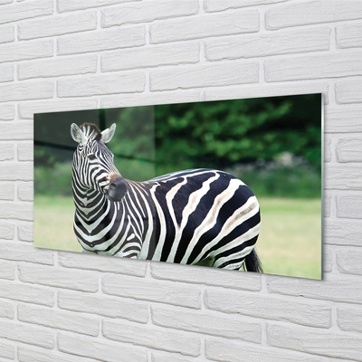 Skleněný panel Zebra box