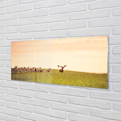 Skleněný panel Stádo jelenů pole svítání