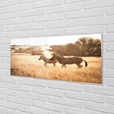 Skleněný panel Zebra pole sunset