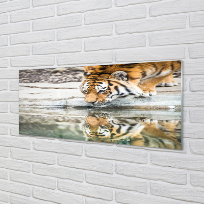 Skleněný panel tiger pití