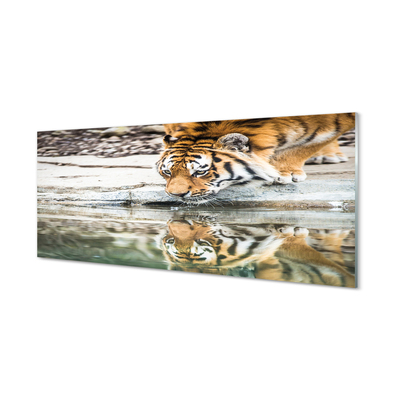 Skleněný panel tiger pití