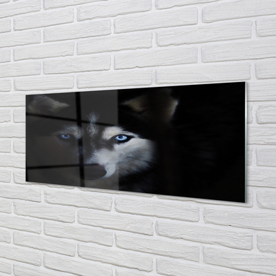 Skleněný panel wolf Eyes