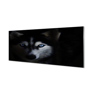 Skleněný panel wolf Eyes