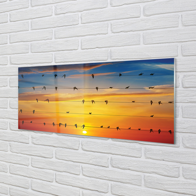 Skleněný panel Ptáci na lanech západu slunce