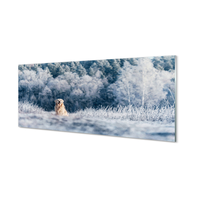 Skleněný panel Zimě salašnický pes
