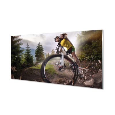 Skleněný panel Cloud na horském kole
