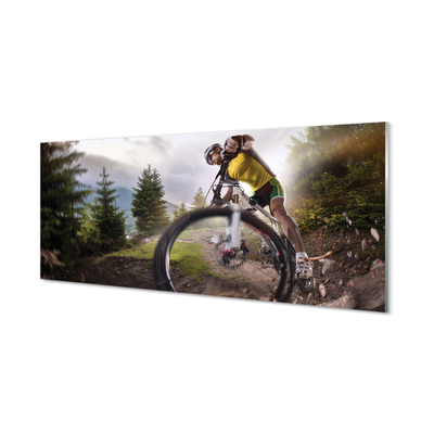 Skleněný panel Cloud na horském kole