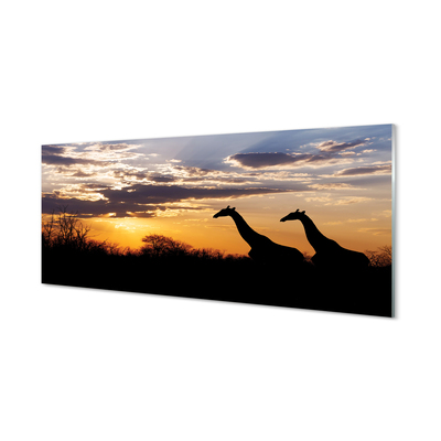 Skleněný panel Žirafy strom mraky