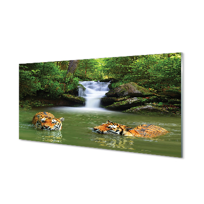 Skleněný panel vodopád tygři