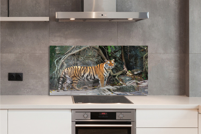 Skleněný panel tygr džungle
