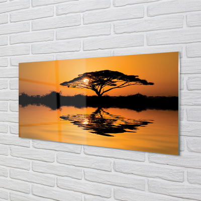 Skleněný panel Sunset tree