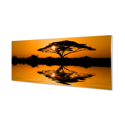 Skleněný panel Sunset tree