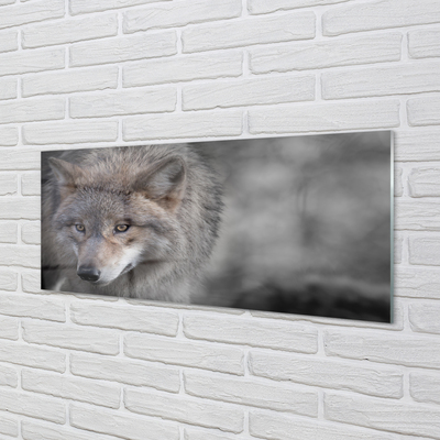 Skleněný panel Vlk