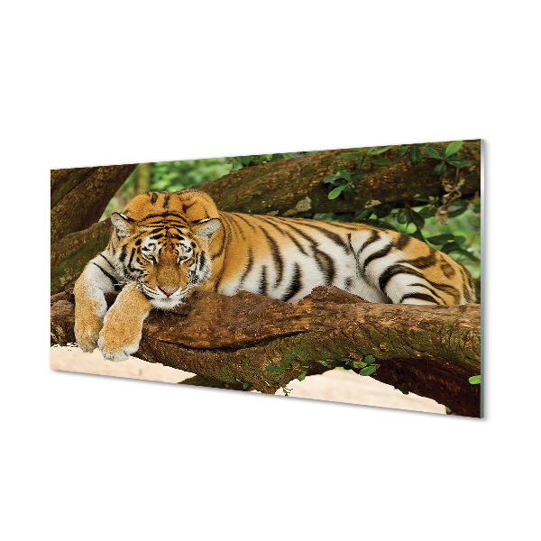 Skleněný panel tiger tree