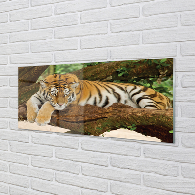 Skleněný panel tiger tree