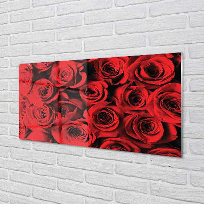 Skleněný panel Růže